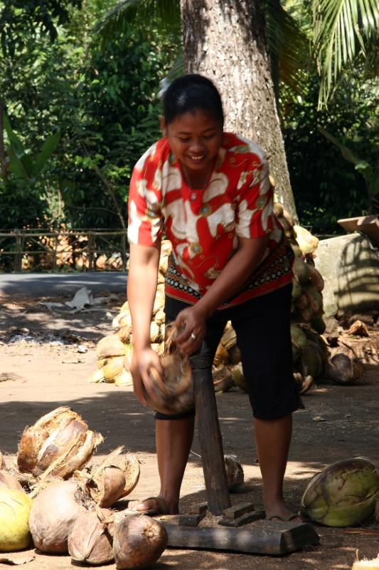 Manual coconut shelling, Java Pangandaran Indonesia 2.jpg - Indonesia Java Pangandaran. Manual coconut shelling